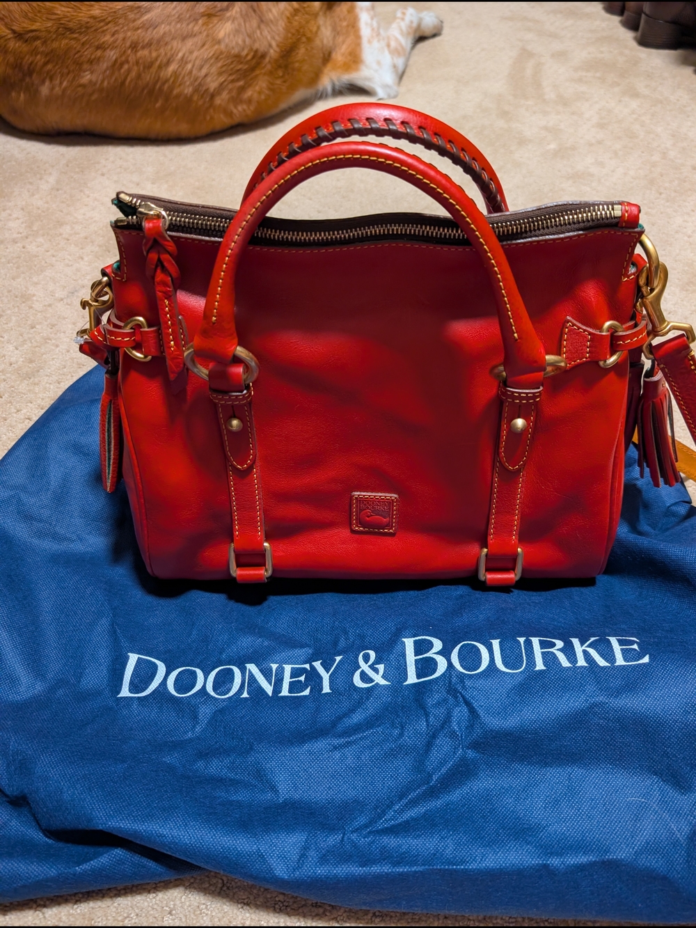 Dooney & Bourke Red Leather Small Satchel with Tassel